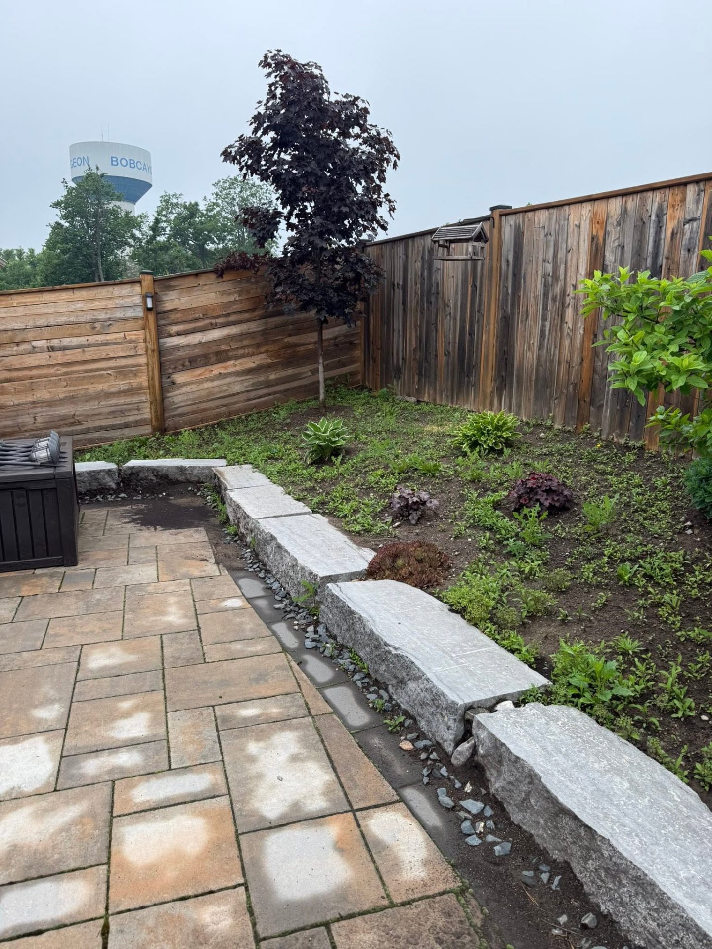 Backyard Patio & Garden