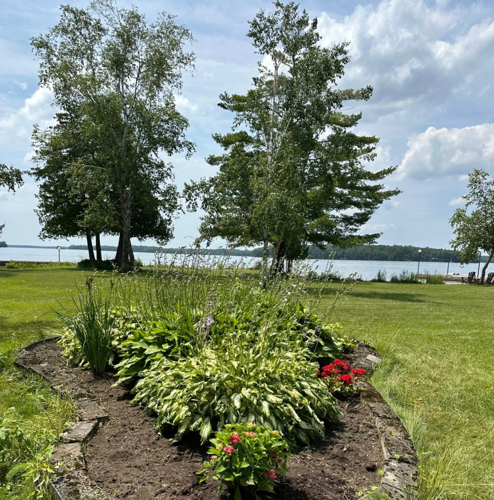 Hosta & Perennial Bed