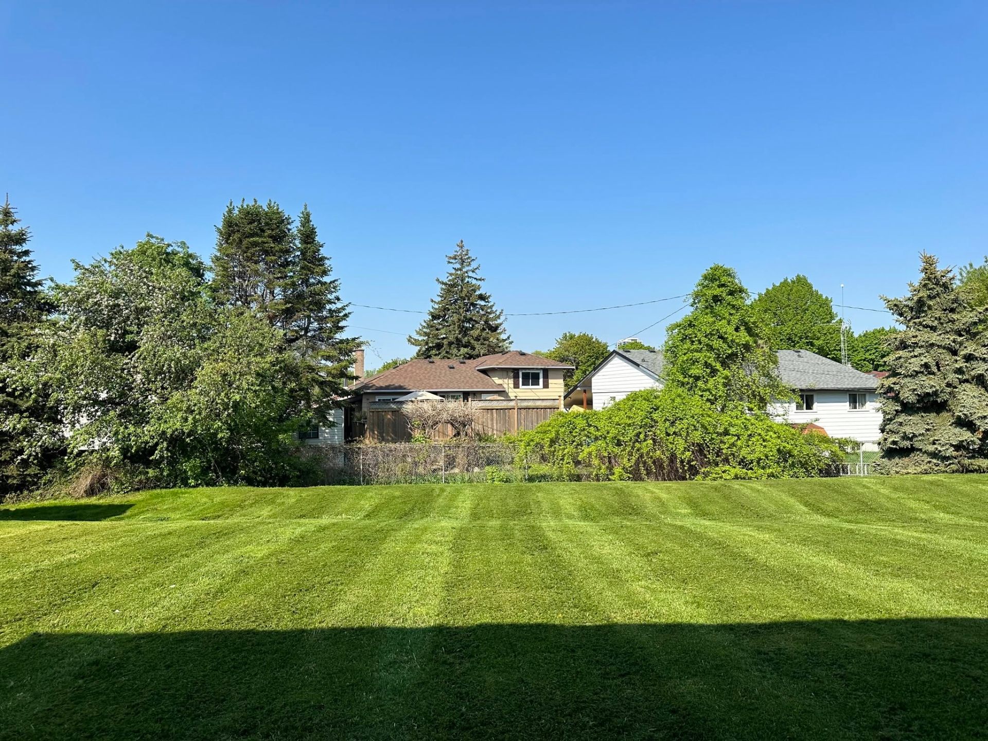 Manicured Lawn — Bobcaygeon